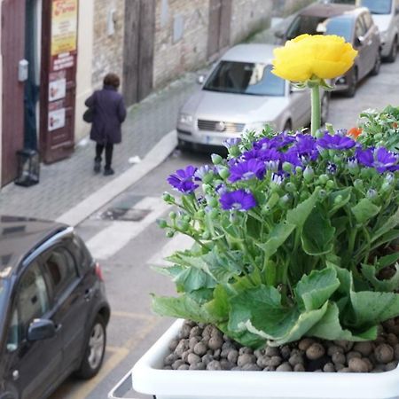 La Casa Dei Sogni Bed & Breakfast Matera Ngoại thất bức ảnh